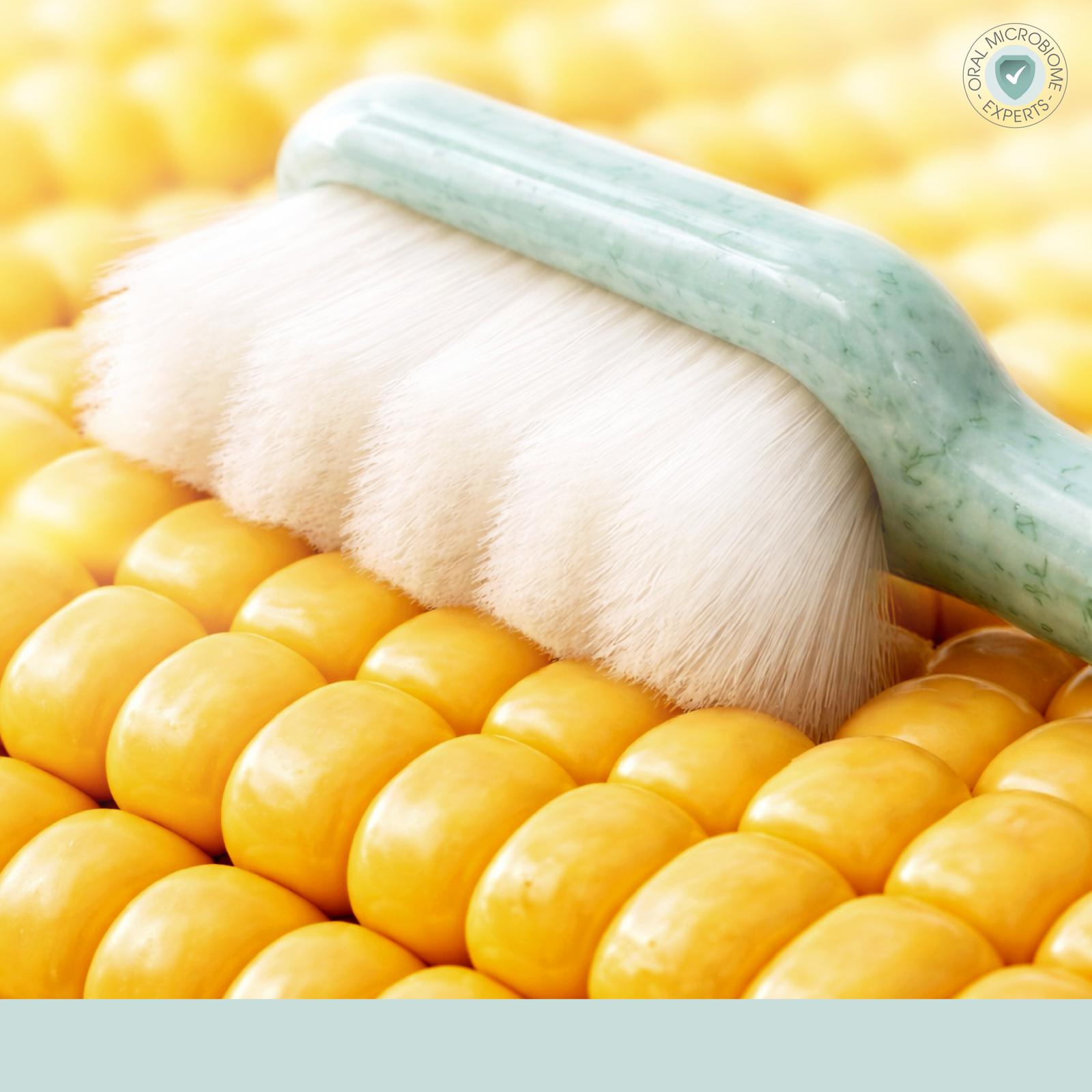 ORALLY by REPARODENT